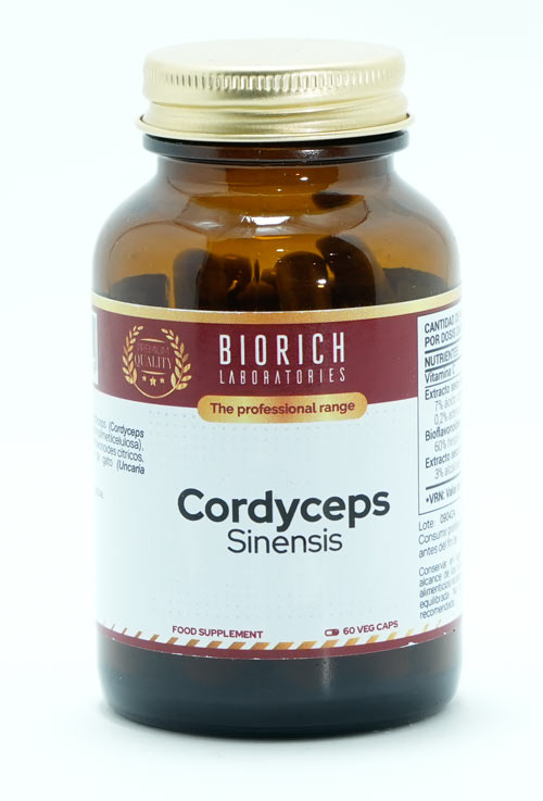 Cordyceps